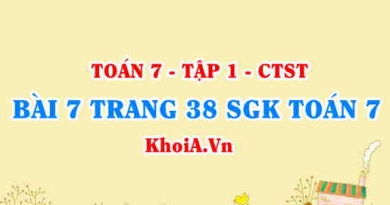 Bài 7 trang 38 SGK Toán 7 chân trời sáng tạo tập 1